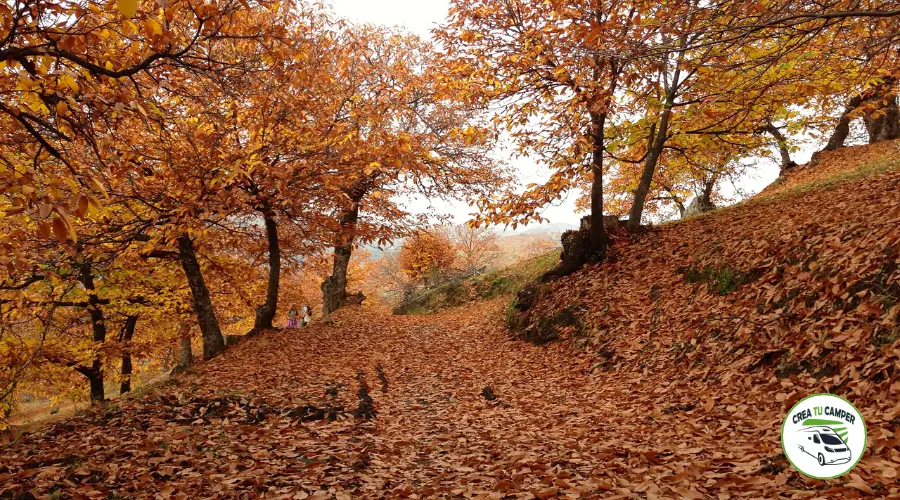 escapadas-fin-de-semana-cerca-de-malaga